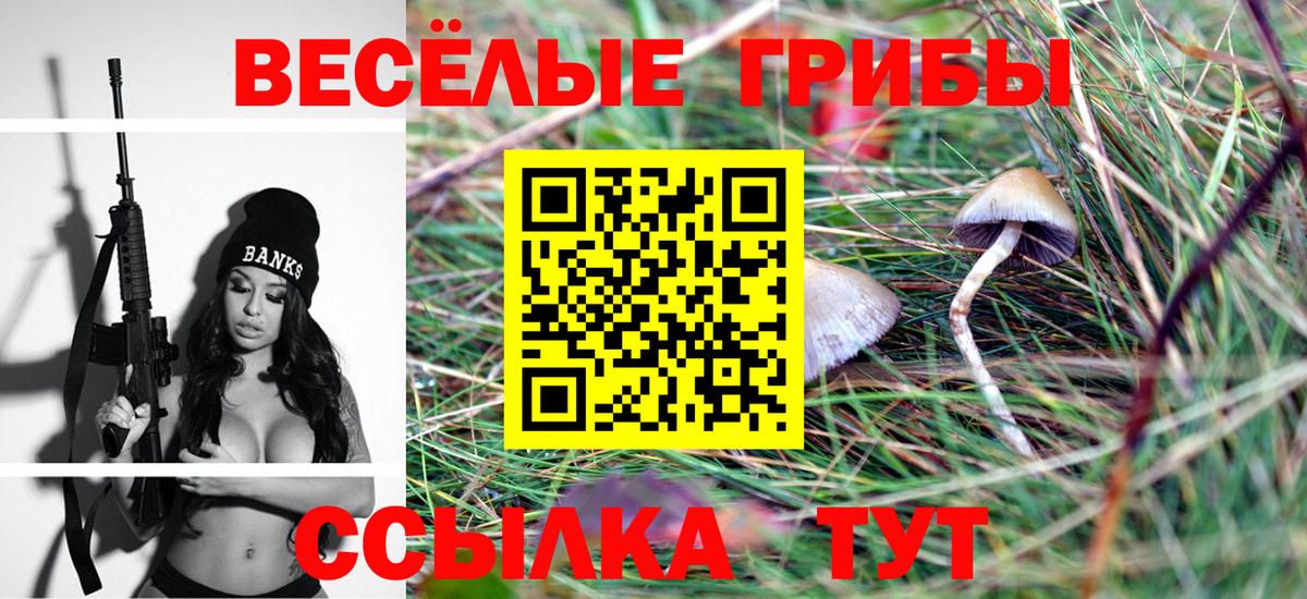 Галлюциногенные грибы Psilocybe Северобайкальск